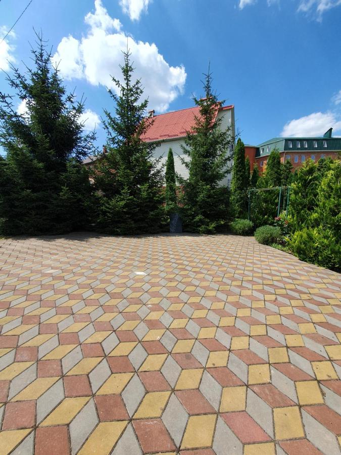 Hotel Дом Для Души С Бассейном Целиком à Vinnytsia Extérieur photo